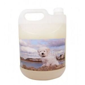 체리쉬 약용샴푸 이 벼룩방지 4L 애견샴푸 미용 위생