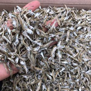 특품 가이리멸치 1.5kg무료배송 자멸치 볶음멸치 멸치