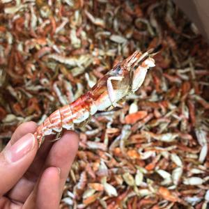 상급 국산 딱새우 500g 무료배송 집게새우 육수 건새우