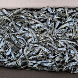 상급 주바멸치 1kg 중멸치 국물멸치 안주멸치 건멸치