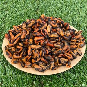 국산 건홍합 500g 마른홍합 말린홍합 건조홍합 홍합살