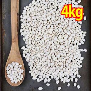 흰강낭콩 4kg 흰 강남콩 키드니빈 네이비빈
