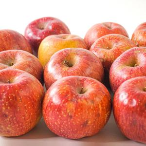 [더조은] 알뜰 꿀사과 부사사과 3kg 흠과 15-18과