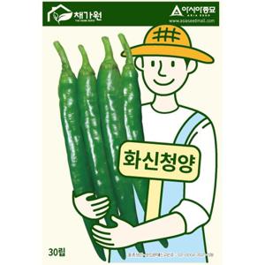 아시아종묘 씨앗 고추 화신청양 30립