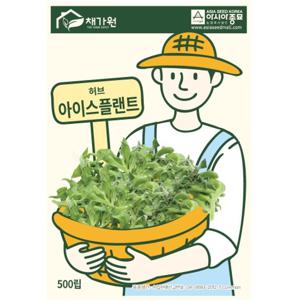 아시아종묘 씨앗 허브 아이스플랜트 500립