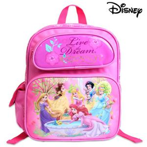 디즈니 유아동 어린이 프린세스 여행소풍 책가방백팩