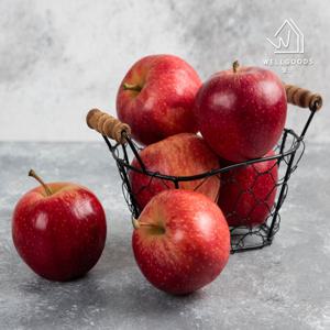 [웰굿] 경북 가정용 사과 실중량2.5kg(15-16과,한입흠과)