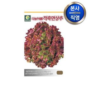다농 (여름) 적축면 상추 씨앗 3g . 꽃상추 채소 텃밭 재배 파종 씨 종자.