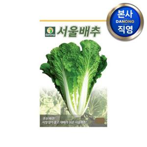 서울 배추 씨앗 20g . 조선 경종 배추 채소 김장 겉절이 가을 파종 씨 종자.