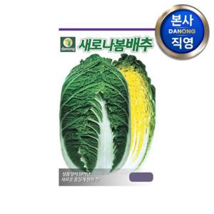 새로나 봄배추 씨앗 300립 . 야채 채소 엽채류 김장 봄 텃밭 파종 씨 종자.