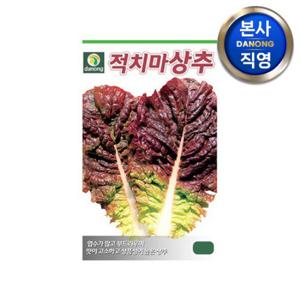 홍빛 적치마 상추 씨앗 6g . 야채 채소 텃밭 파종 재배 주말 농장 씨 종자.