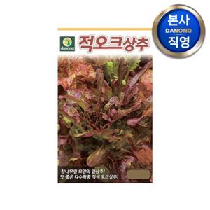 적오크 상추 씨앗 2000립 . 야채 채소 텃밭 파종 재배 주말 농장 씨 종자.