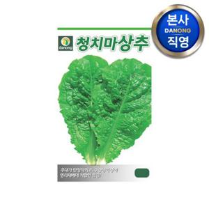 상록 청치마 상추 씨앗 6g . 야채 채소 텃밭 파종 재배 주말 농장 씨 종자.