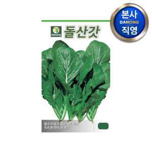 돌산갓 씨앗 30g . 야채 채소 텃밭 파종 재배 주말 농장 씨 종자.