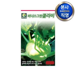 비너스 그린 콜라비 씨앗 500립 . 채소 텃밭 재배 주말 농장 파종 씨 종자.