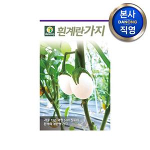 흰계란 가지 씨앗 50립 . 야채 채소 텃밭 파종 재배 주말 농장 씨 종자.