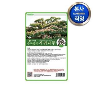 자귀 나무 씨앗 1kg . 수목 식물 씨 종자.