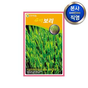 새싹 보리 씨앗 1kg . 무소독 채소 수경 재배 씨 종자