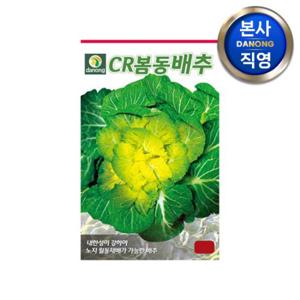 CR봄동 배추 씨앗 20g . 채소 김장 가을 텃밭 파종 결구 월동 씨 종자.