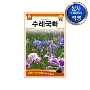 수레국화 씨앗 1g . 조경 정원 화단 식물 관상용 야생화 꾸미기 꽃씨 종자.