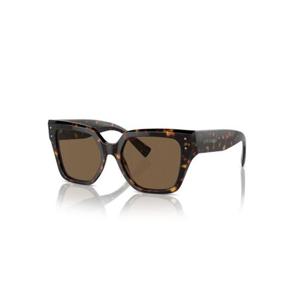 돌체앤가바나 선글라스 0DG4471 52502 73 Brown