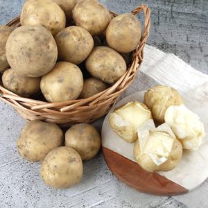 [베리세상] 국내산 수미감자 특품 5kg