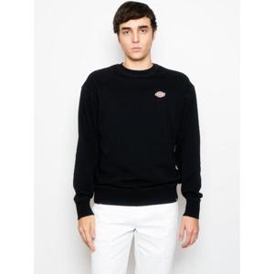 디키즈 후드 티셔츠 DK0A4YLZ BLK1 Black