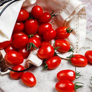 [웰굿] 스테비아 망고향 레드 스윗마토 방울 토마토 1kg(500gx2)