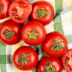 [웰굿] 스테비아 완숙 토마토 3kg(1kgx3)