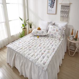 [운현궁]아사 와일드 패드Q