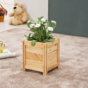 아트박스/포메리트 고무나무 미니화분정리대