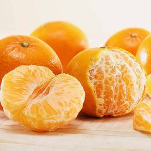 제주도 비가림 하우스감귤 로얄과 4.5kg