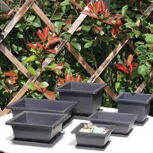 모던심플 다육이 미니사각 다크닉화분 1717트레이