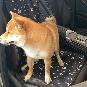 카시트 강아지 애견 방수 조수석 커버