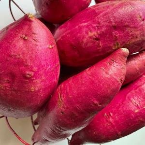 해남 세척 꿀 고구마 5kg(한입)