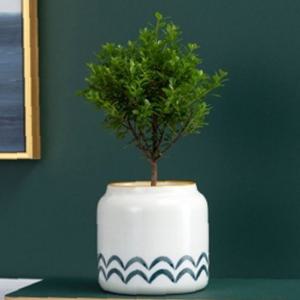 포레스트 미니 도자기 화분(물결) 미니 선인장화분