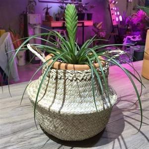 바구니-2중 비닐 왕골화분커버(소소형) 19x23cm 비닐