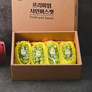 시그니처 샤인머스켓 1.8kg(3-5수) 과일 선물세트