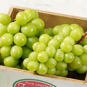 경북 영천 고당도 샤인머스켓 1kg 가정용 2-3송이 포도