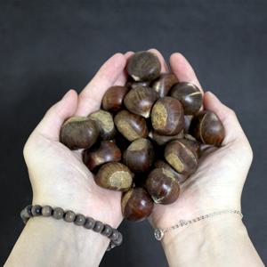 공주밤 1kg(칼집)