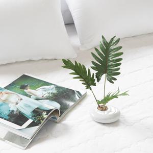 셀렘 조화 센터피스 수반 화분 set 30cm 인테리어 식물 조경 테이블 장식 소품 꾸미기