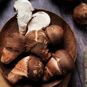 향이깊은 나주 참송이버섯 1kg (상/못난이 랜덤)