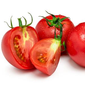 토망고 스테비아 토마토1kg 6입내외(5-8입)