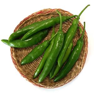 [오창농협] 친환경 청양고추 100g x 2봉