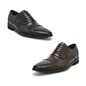 [탠디]탠디본사 소가죽 옥스퍼드 HA20002 2color 택1 (3cm)