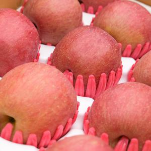 [산지직송] 과즙가득 의성 흠집 사과(소) 3kg