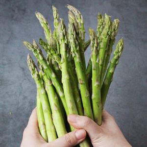 생 아스파라거스 1kg