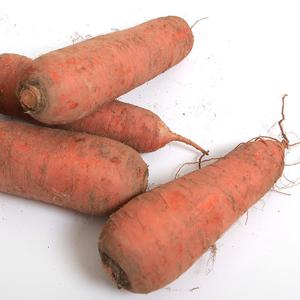 [팜쿡] 싱싱한 국내산  흙당근(중) 5kg