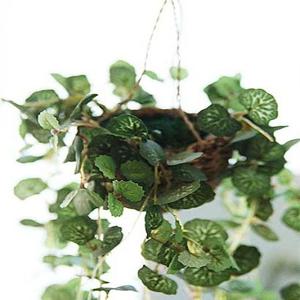 러블리한 하트모양 잎파리 더가든 하트체인 바구니