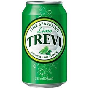 롯데 트레비 라임 355ml x 24캔